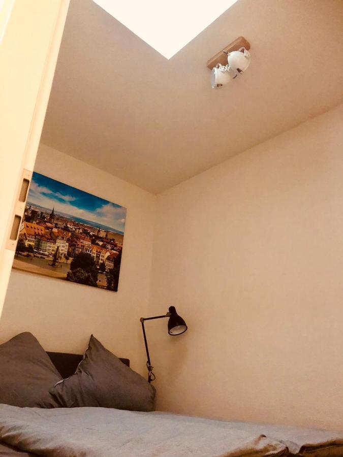 Ferienwohnungen Mey Haus Zum Rosenstock エアフルト エクステリア 写真